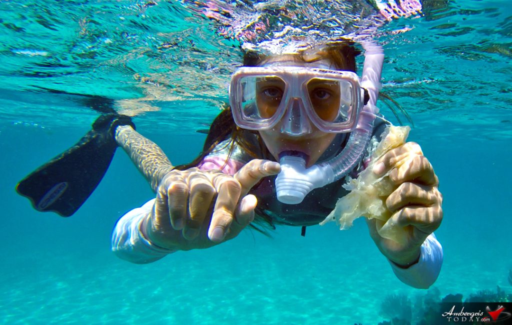 Earth Day 2018 Marks Countdown to Phase Out of Single-Use Plastics 3