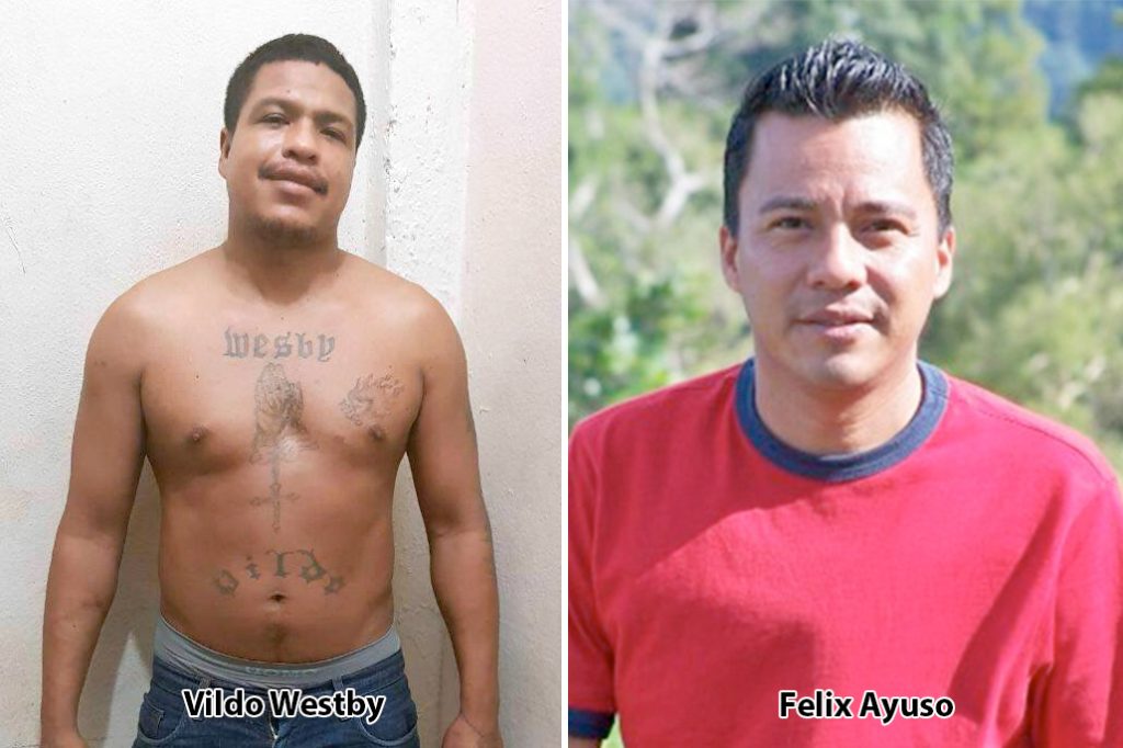 Ayuso Family Releases Details of Vildo Westby’s Capture 10