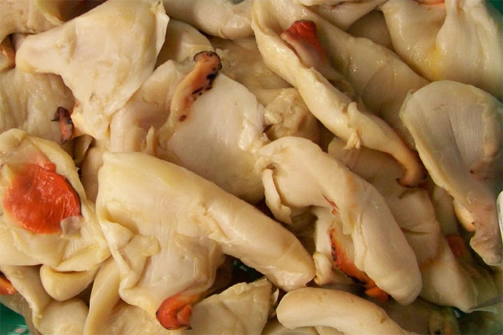 Fishermen Arrested for Illegal Possession of Conch 3