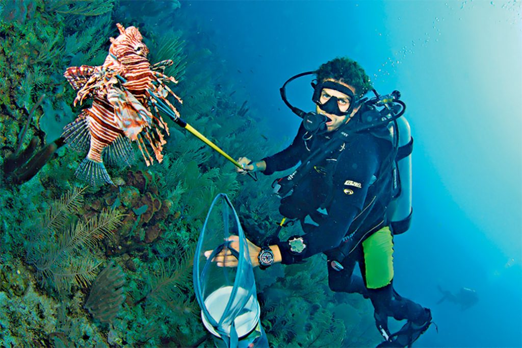 Belize Lionfish Hunting Best Marine Experience According to Food and Travel Mexico 23