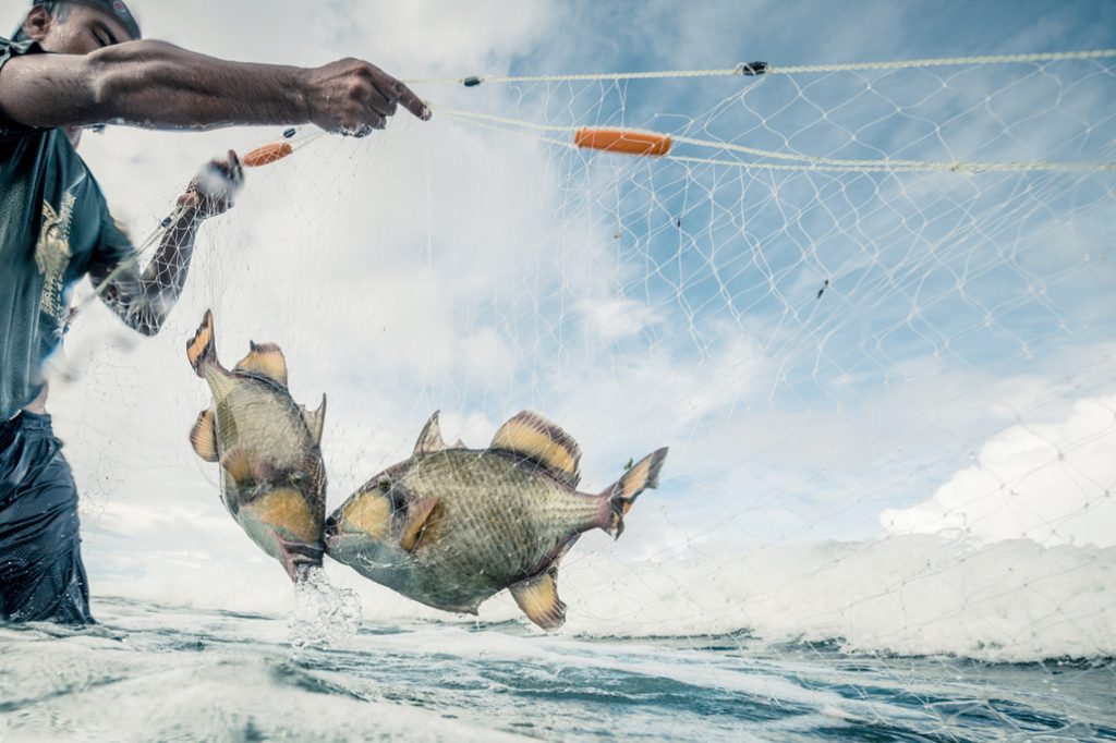Belize Struggling With Battle Against Gillnet Fishing 22