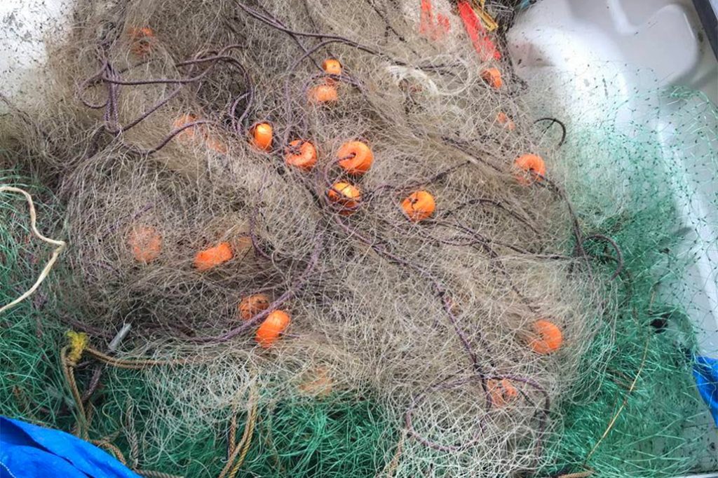 Government of Belize Looking to Reduce Harmful Effects of Gill Nets 2