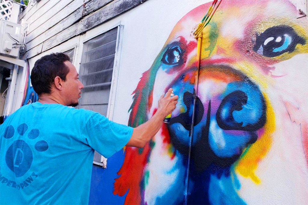 San Pedro Comes Alive with New Color 24