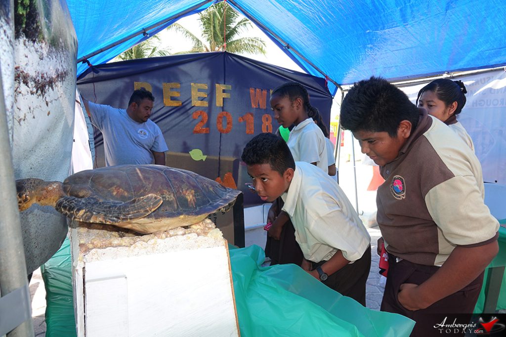 Hol Chan Holds Informative Reef Fair 25