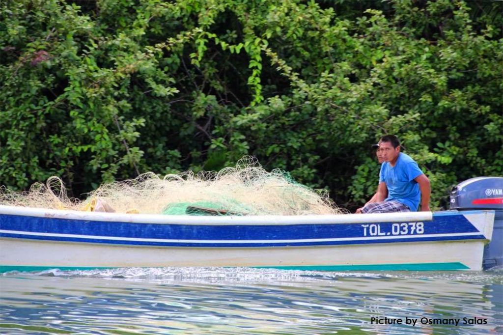 Illegal Fishing Is Costing Belize Millions 4