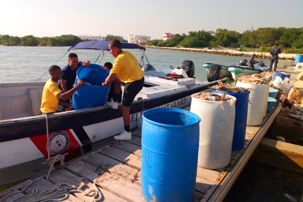 The Destructive Nature of Gillnets Strikes Again 25