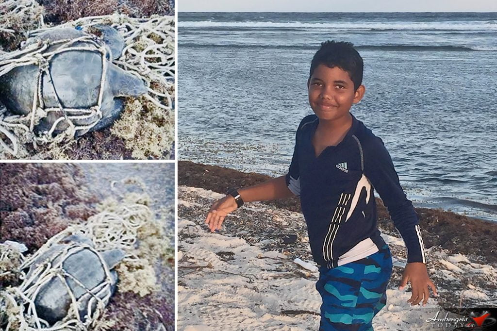 12-Year-Old Jeffrey Rescues Entangled Sea Turtle 20