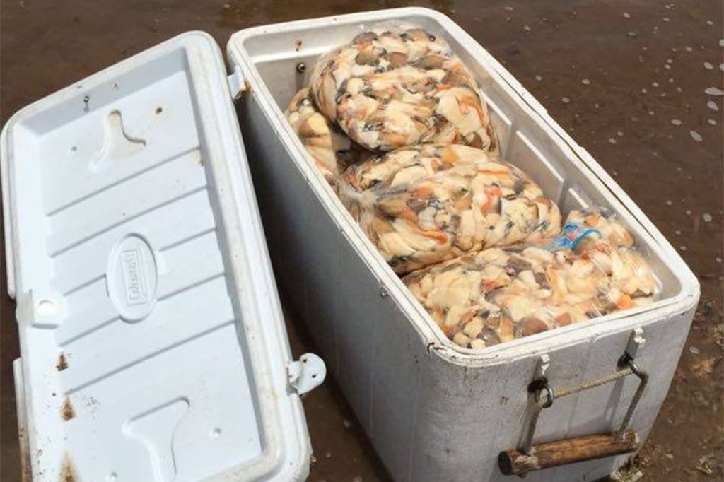 Fishermen Caught with Out-of-Season Conch on Long Caye, Lighthouse Reef Atoll 7