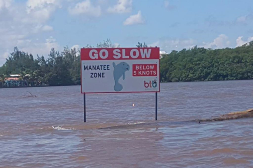 Protect Our Manatees - “Go Slow” Sign Installed on Belize River 9