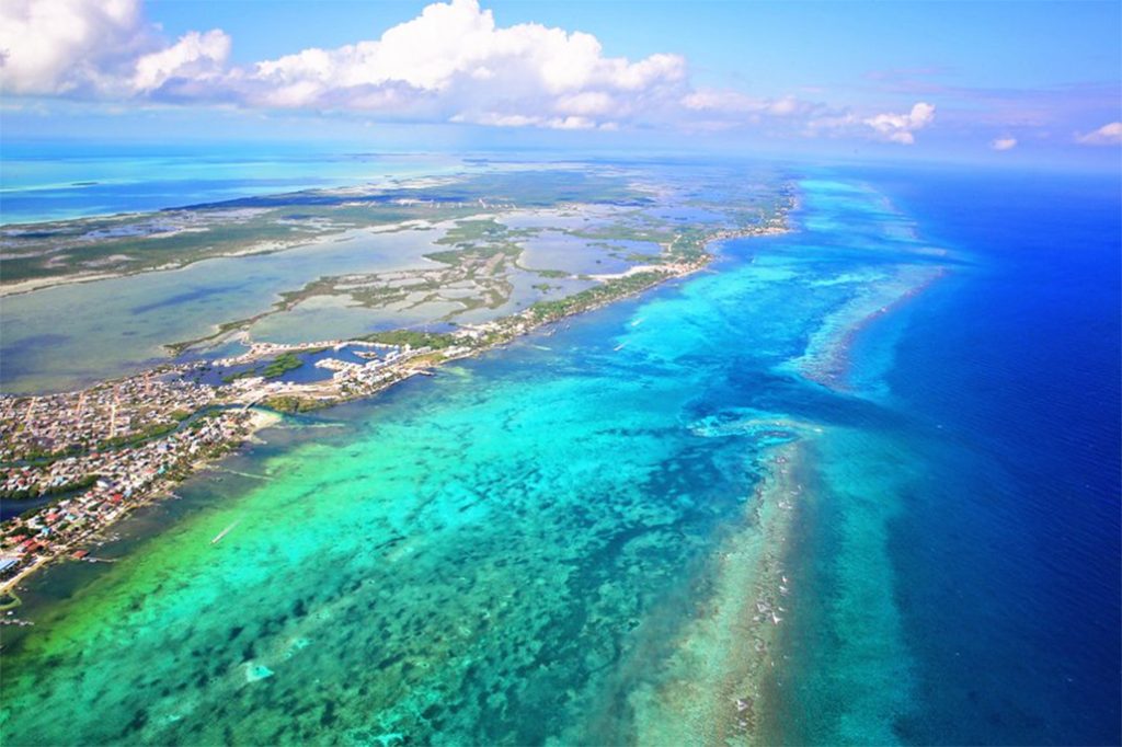 New Hotel Development – Margaritaville Coming in 2020! 24