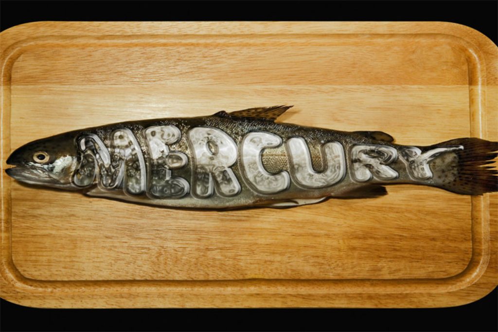 Mercury Reported in Various Rivers of Belize 6