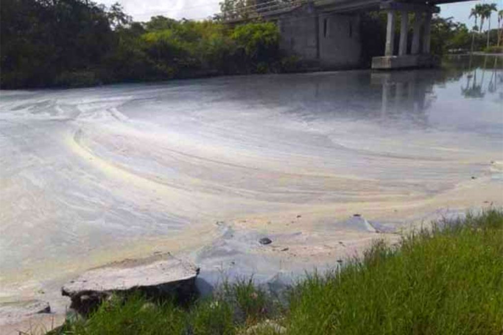 Stagnation of the New River: What is Being Done and the Prospect for Improvement 8