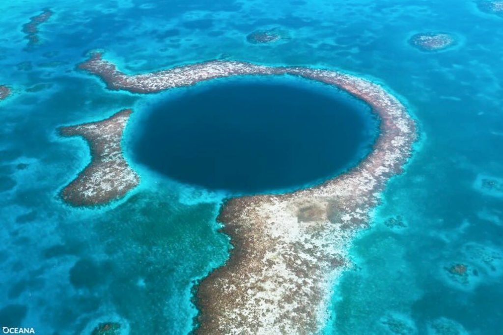 Director of World Heritage Center Welcomes Oil Moratorium at Belize Barrier Reef 4