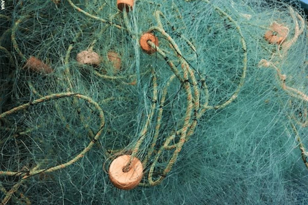 Ocean Commits Over $2Million Dollars to Assist Fishers Transition from Gillnet Use 15