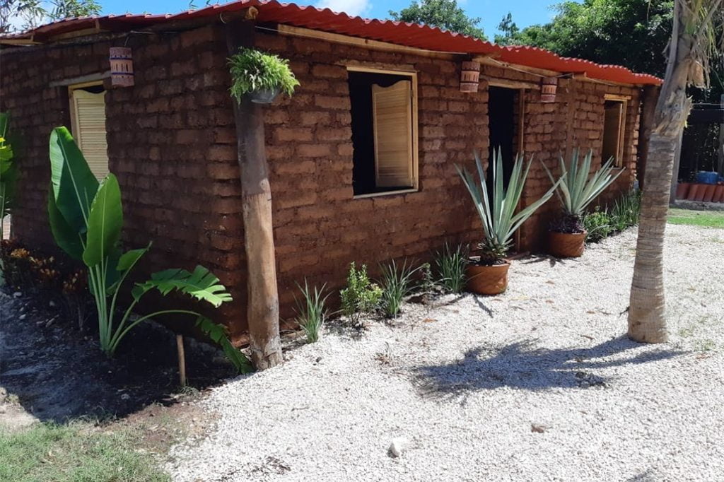 Mexican Visionary Talks About Making Houses Out of Seaweed 16
