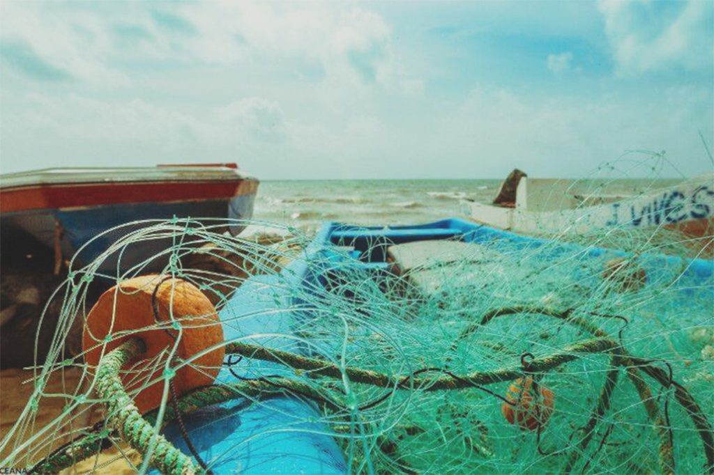 Submission Period Open for Public to Submit Information in Relation to Gillnets 14