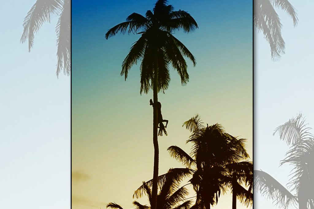 Just Hanging Around on Ambergris Caye 10