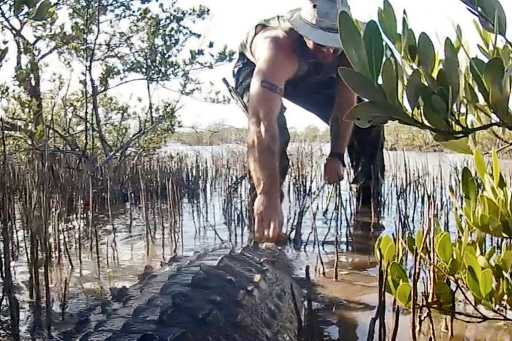 Another Day at the Office 2