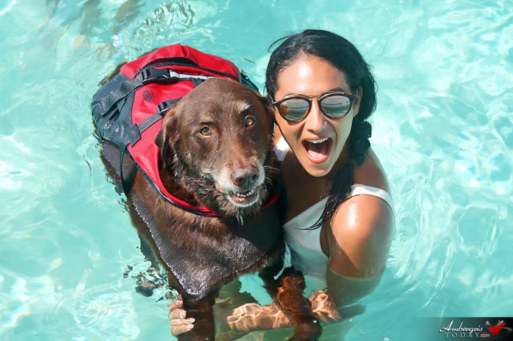 Dooley Bear and the Beauty Queen 22