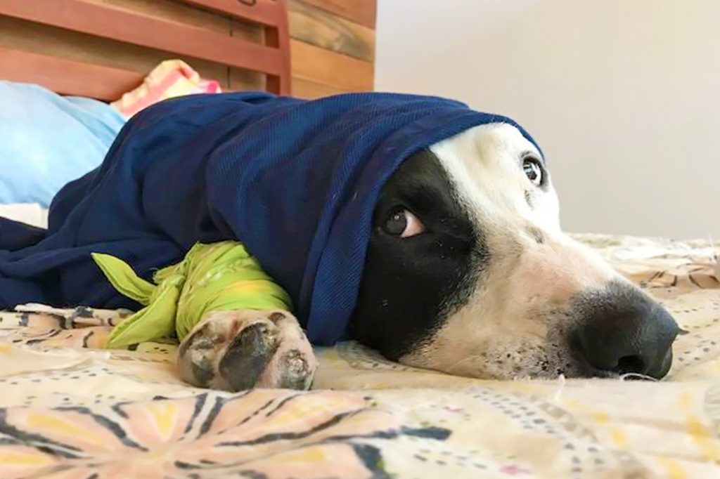 Brrrrr! Cold Front 2