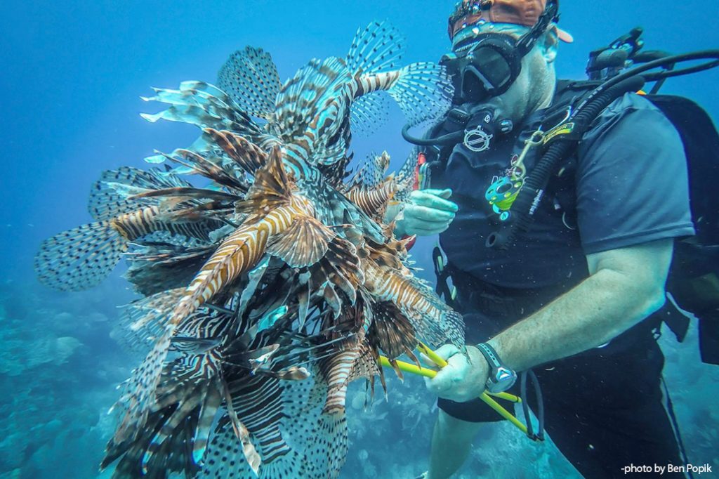 Slaying Lionfish in Belize 22