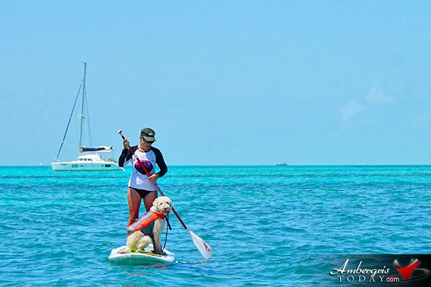 Man's best hotsell friend boarding