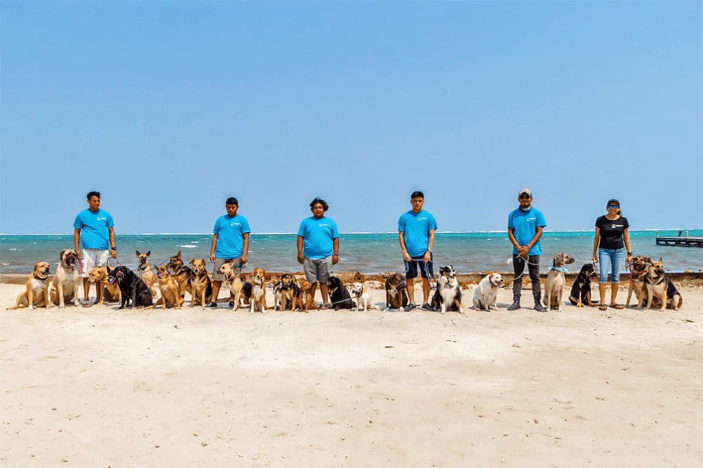 The Dog Whisperers of Belize at Pampered Paws 20