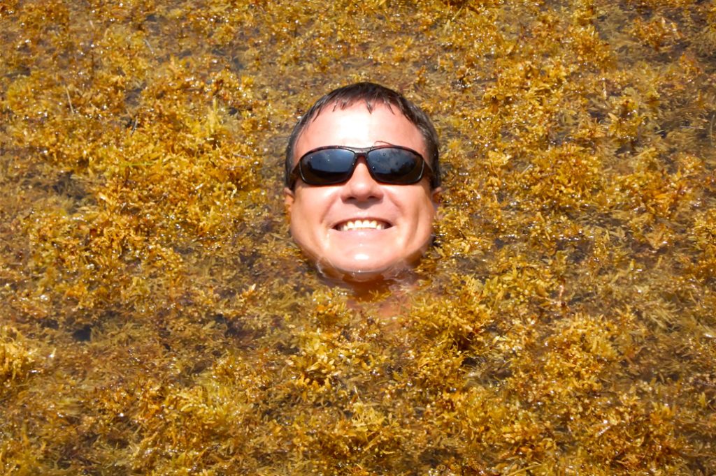 Sargasso Hide and Seek 8