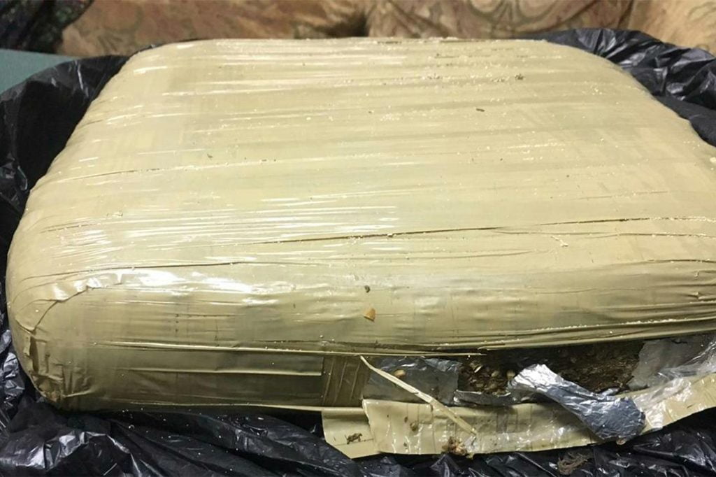 2.5 Kilos of Cannabis Found at San Pedro Cemetery 6