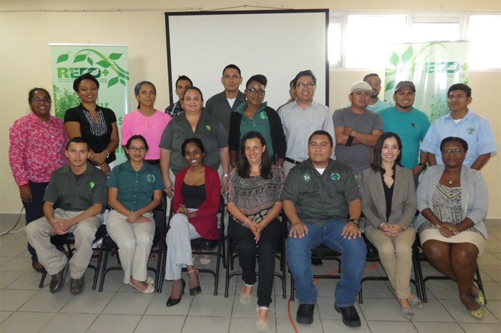 The Belize REDD+ Project – A Global Initiative to Combat Climate Change 17