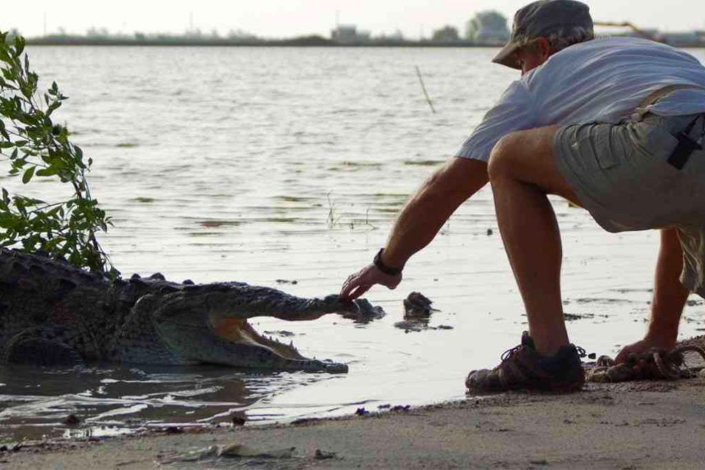 Belize Forest Department Warns about Safe Wildlife Tourism Encounters 8