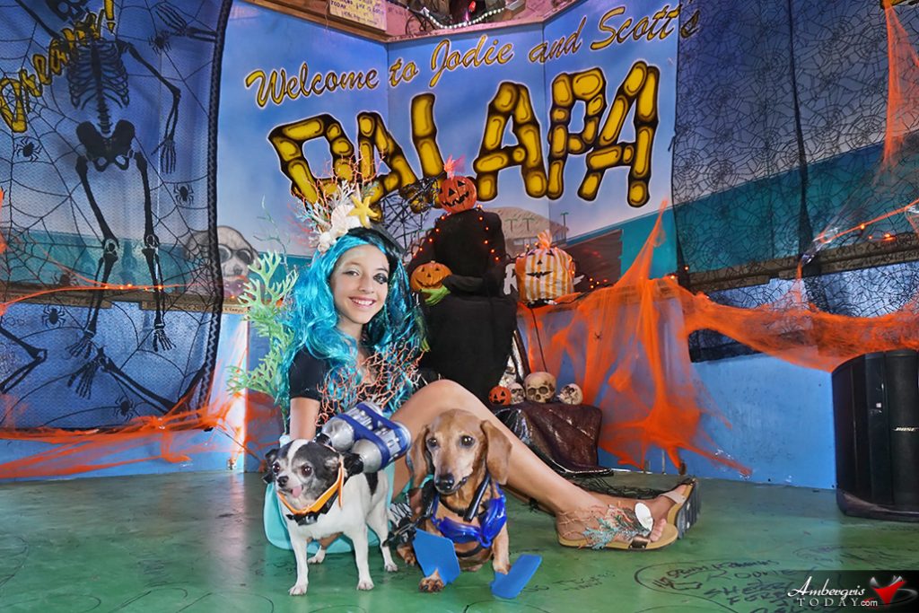 Saga Humane Society's Annual Halloween Bash 1