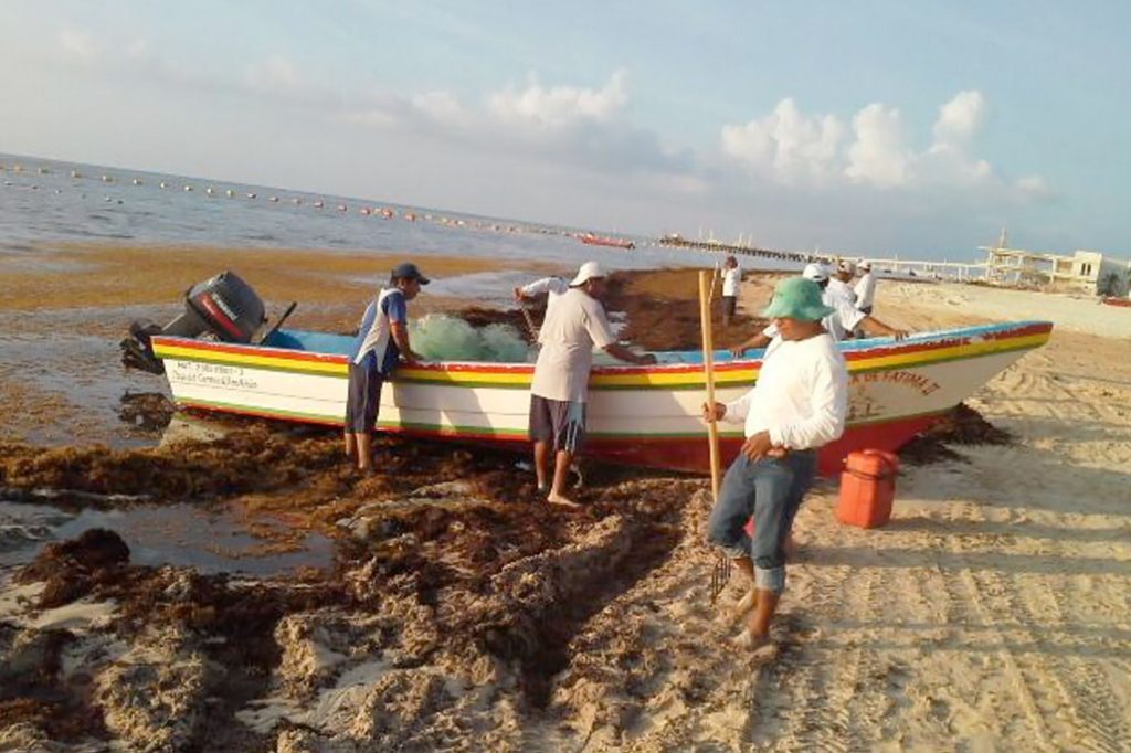 Caribbean Sargassum Virtual Workshop to Benefit Belize 10