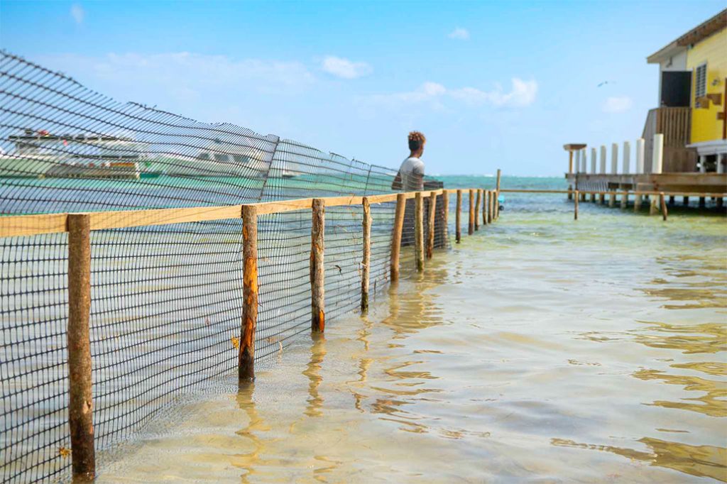 Town Council Sets Up Sargassum Barriers for Easier Cleanup 1