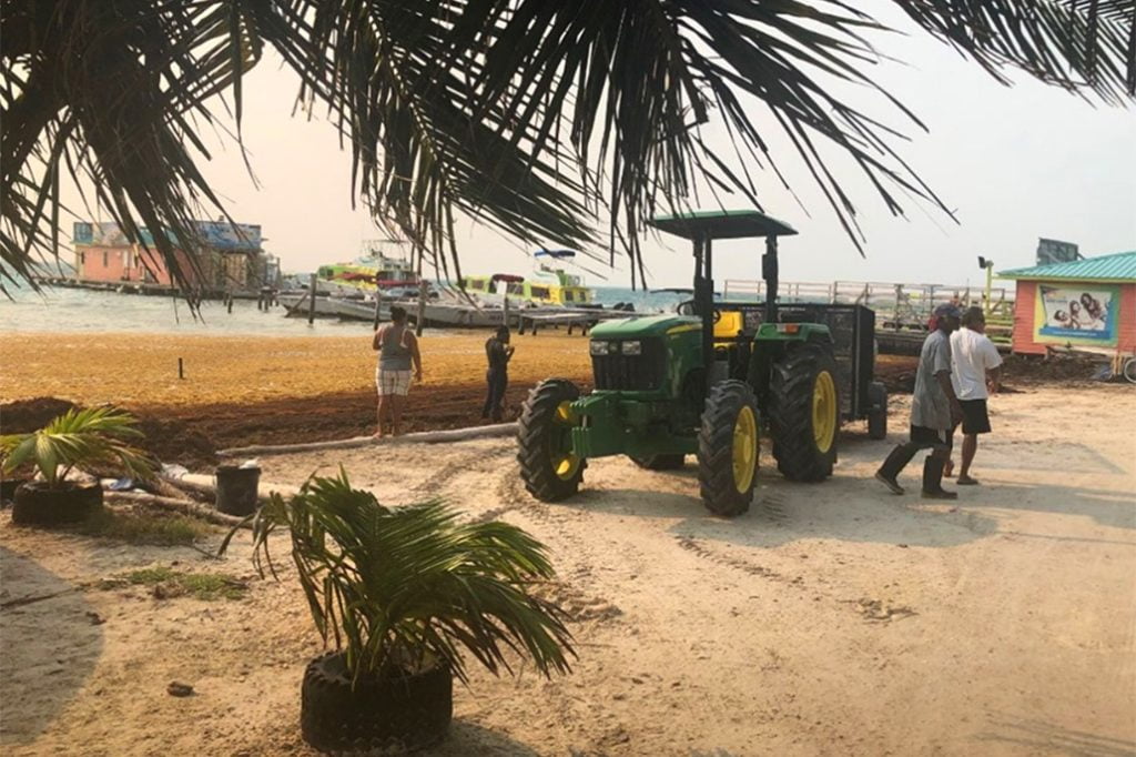 Sargassum Task Force Update on Impact of Sargassum 9