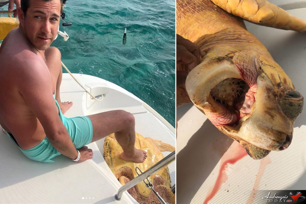 Tourists in Belize Experience Sea Turtle Rescue After It Swallows a Pufferfish 9