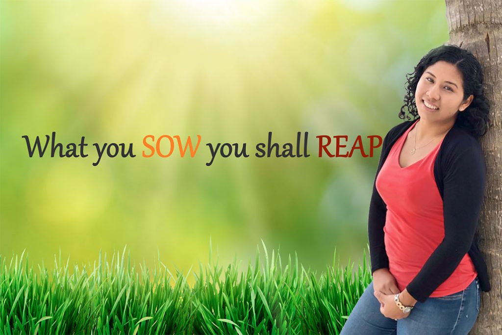 Sow to Reap 11