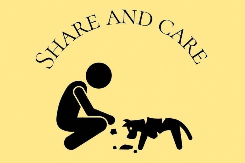 New Non Profit Organization Sets to Feed Stray Dogs on Island 15
