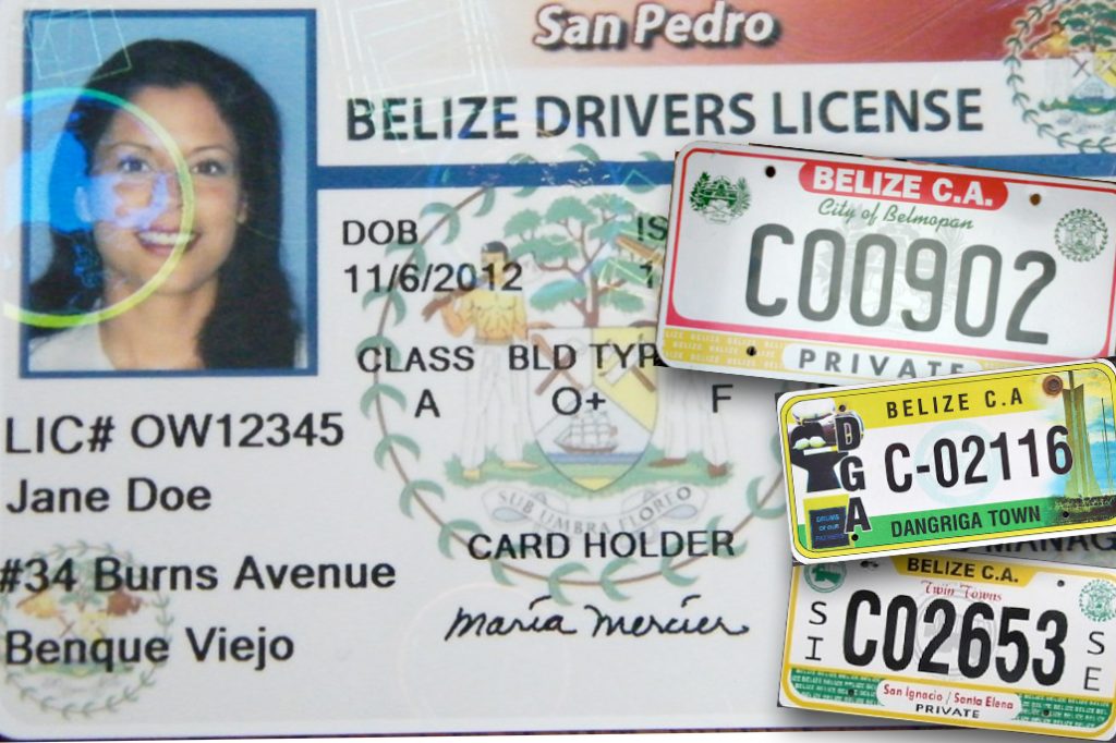 Belize to Establishment National Standard Vehicle Registration & Drivers Licensing System 20