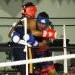 Belize International Boxing Event