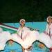 Danza de Ballet Folklorico de Quintana Roo