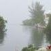 Thick Fog Halts Air and Maritime Traffic