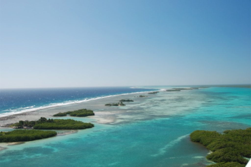 Land Trust to Conserve Mangroves on Remaining National Lands on Turneffe Atoll 12