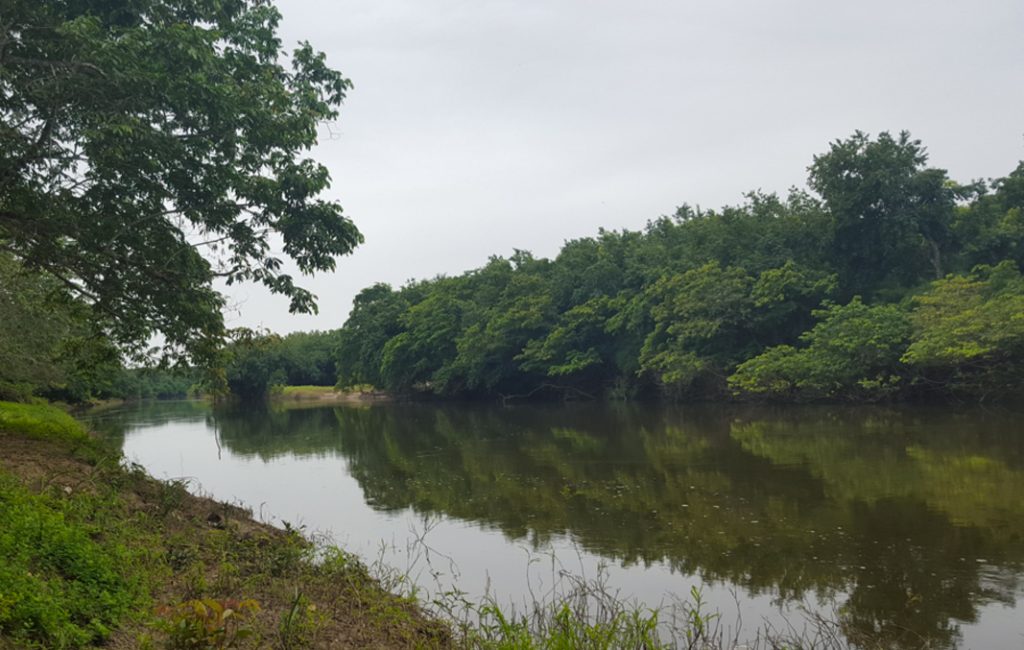 American Student Dies on Field Trip in Belize 25