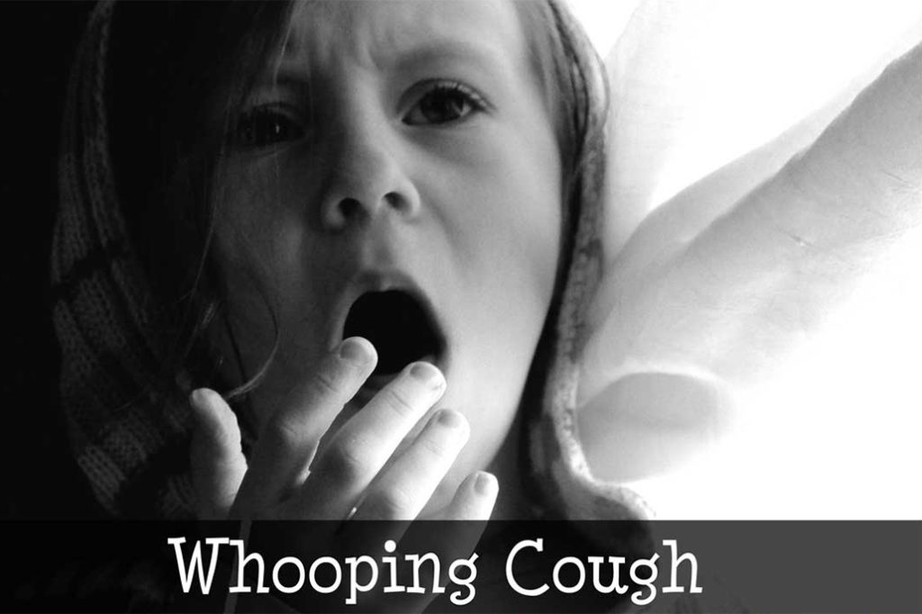 Ministry of Health Monitoring Confirmed Case of Whooping Cough 10
