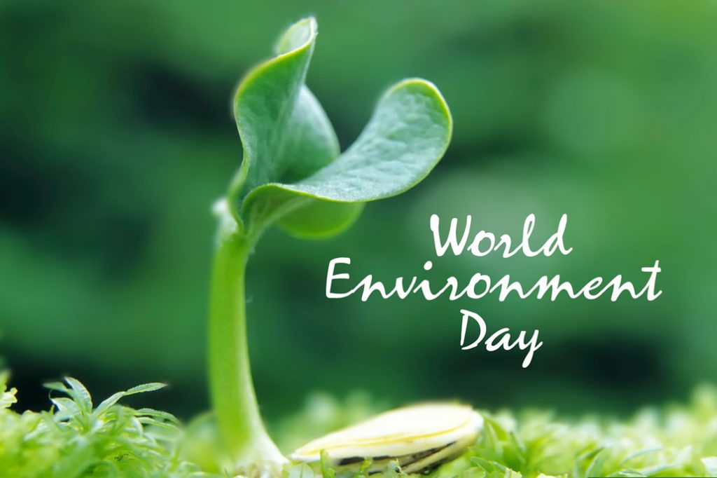 Belize Celebrates World Environment Day 25
