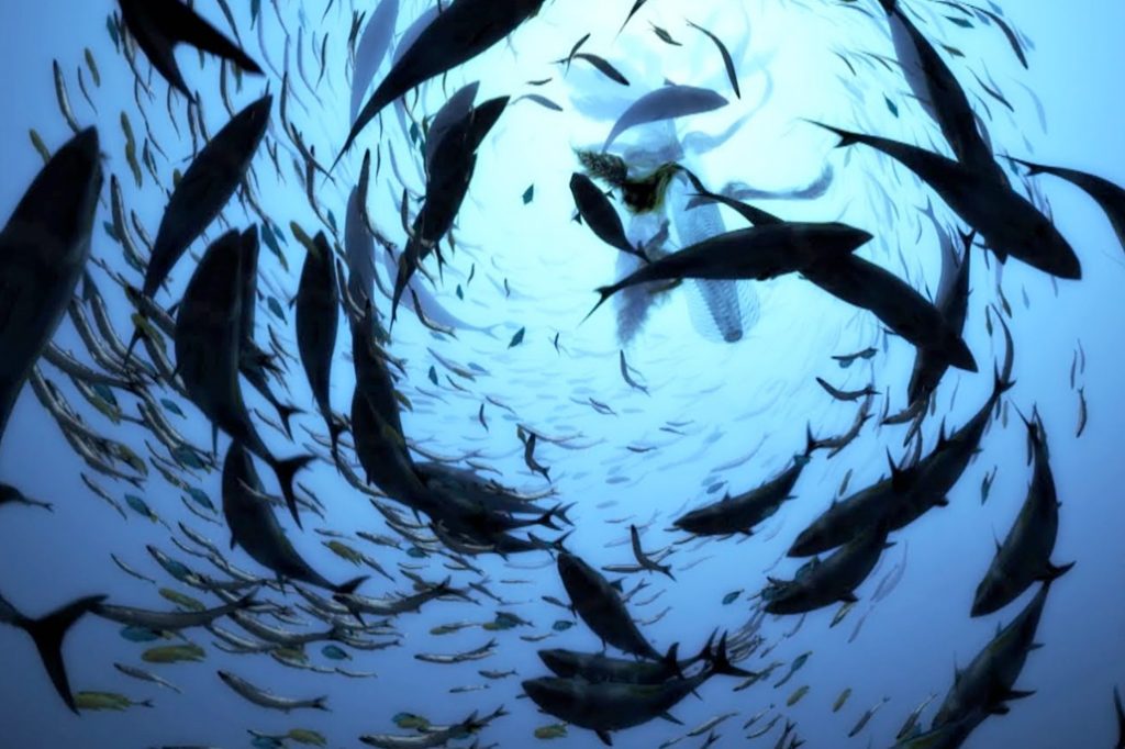 Belize to Announces World Oceans Day Activities 23