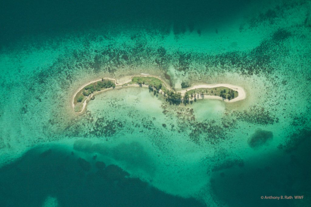 Belize’s Future Dependent on Threatened Belize Barrier Reef 16