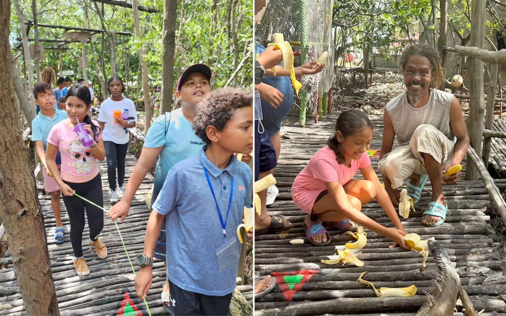 iguana sanctuary mangrove removal