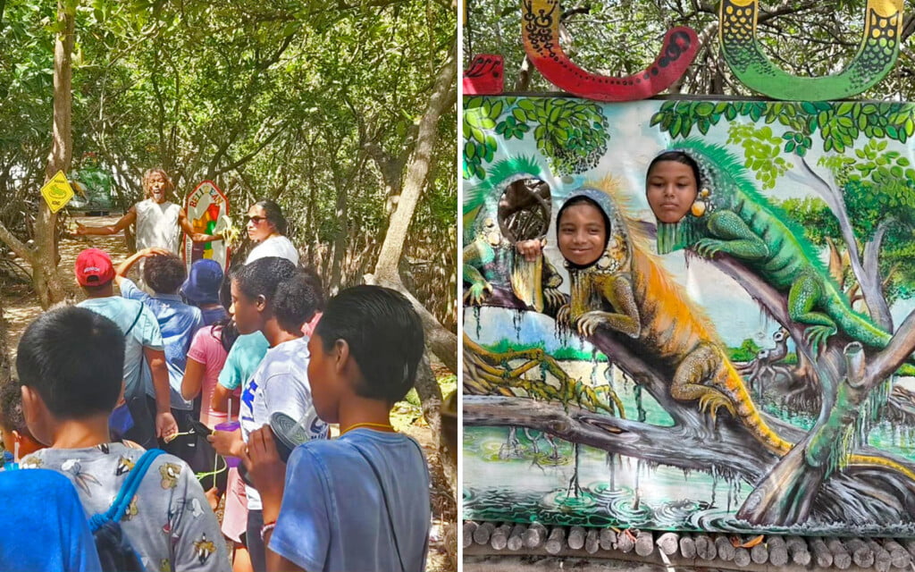 iguana sanctuary mangrove removal